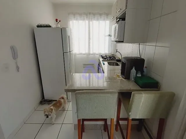 Apartamento com 56m² 2 quartos e 1 banheiro, à venda, no bairro Vila Campanela em São Paulo