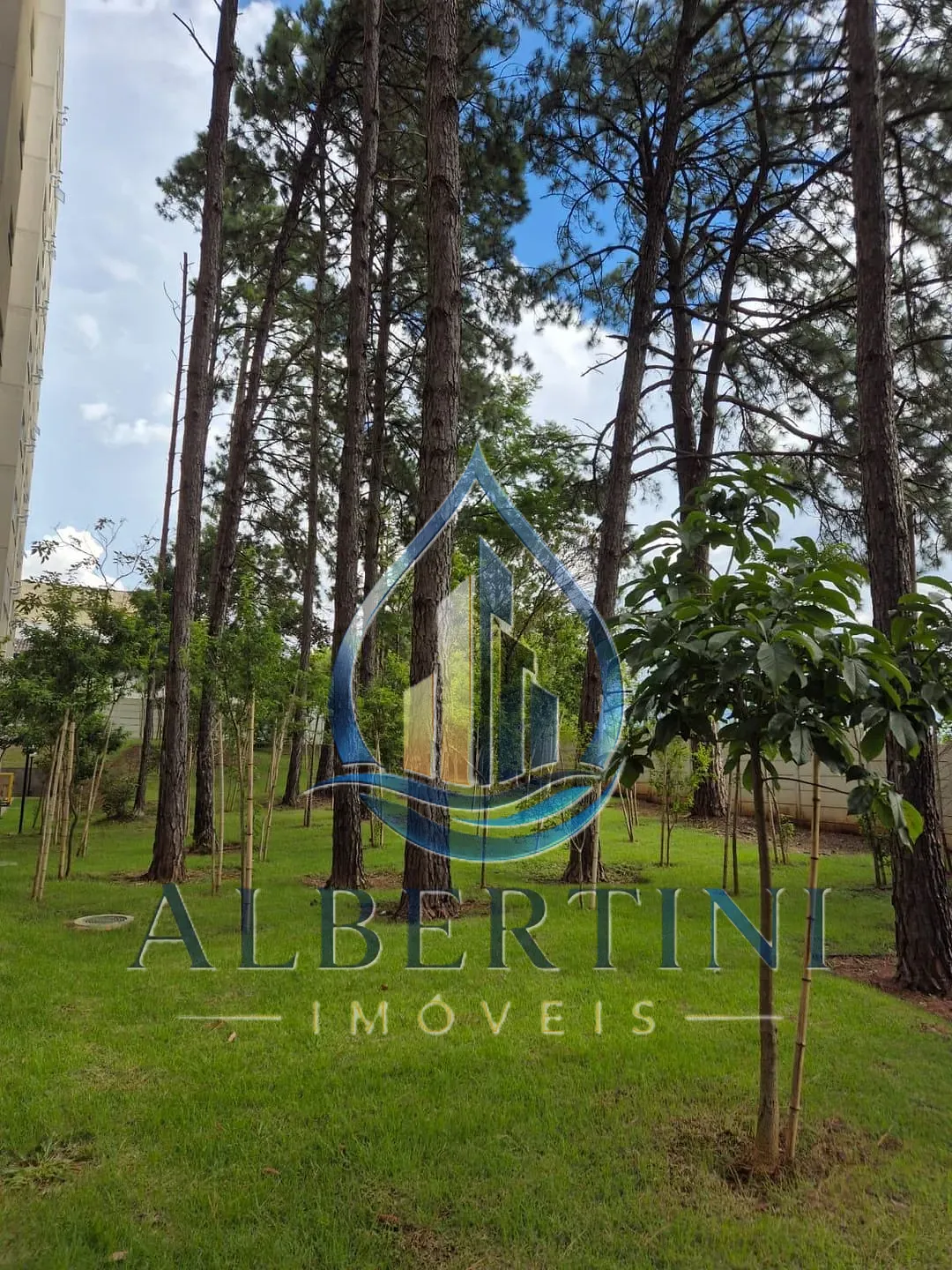 Apartamento, 2 quartos, 41 m² - Foto 24