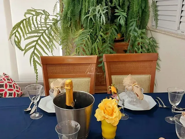 Apartamento 3 quartos e 1 banheiro, à venda, no bairro Quinta da Paineira em São Paulo