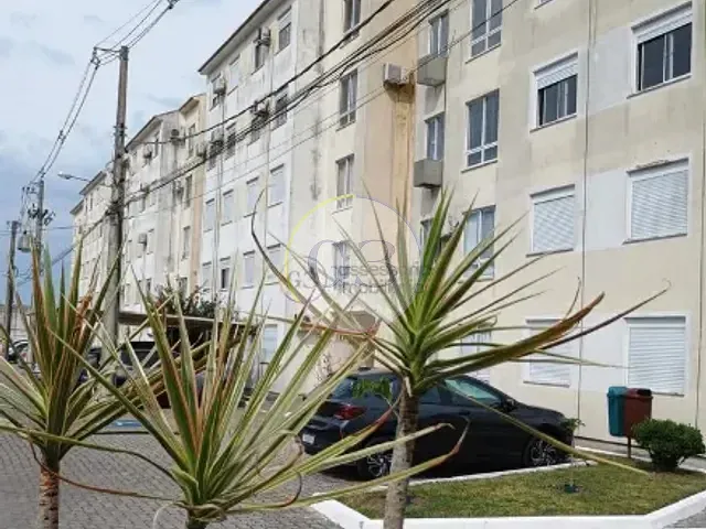 Apartamento 2 quartos e 1 banheiro, à venda, no bairro Centro em Pelotas