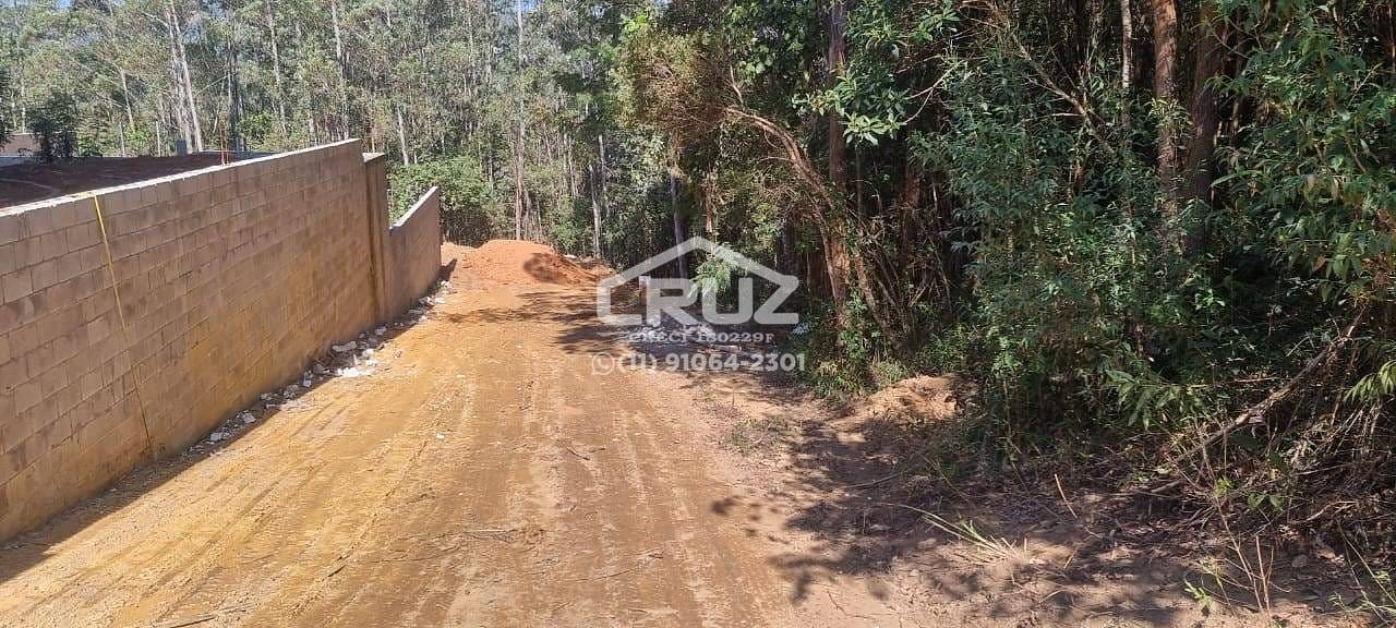 Apartamento, 3 quartos, 450 m² - Foto 6