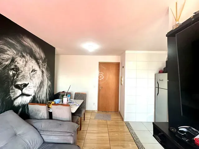 Apartamento 2 quartos e 1 banheiro, à venda, no bairro Jardim Íris em São Paulo