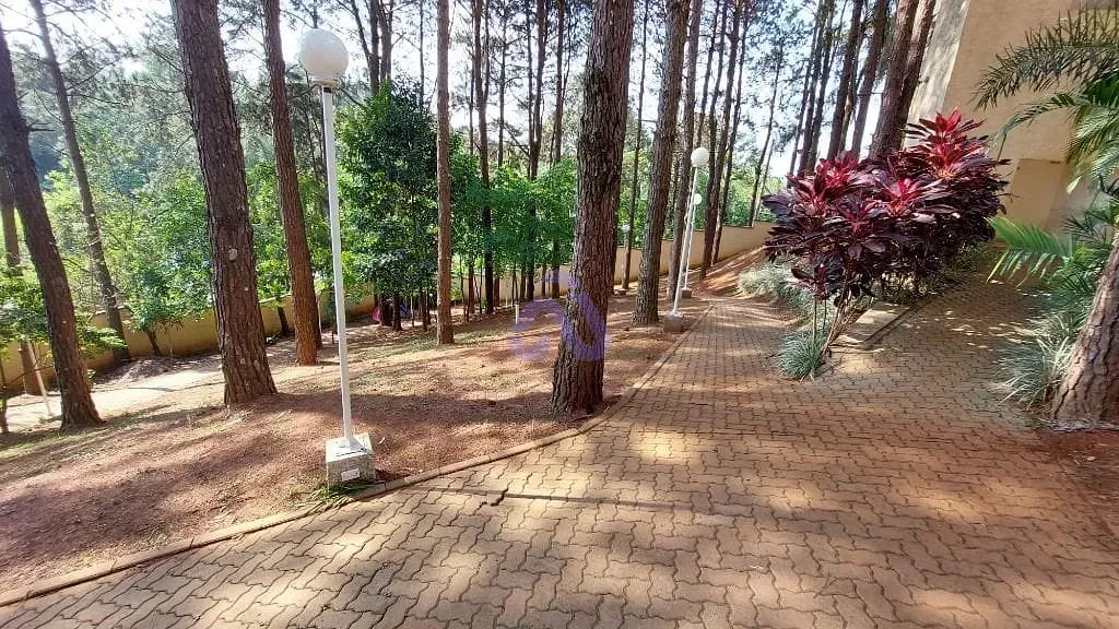 Apartamento, 2 quartos, 50 m² - Foto 38
