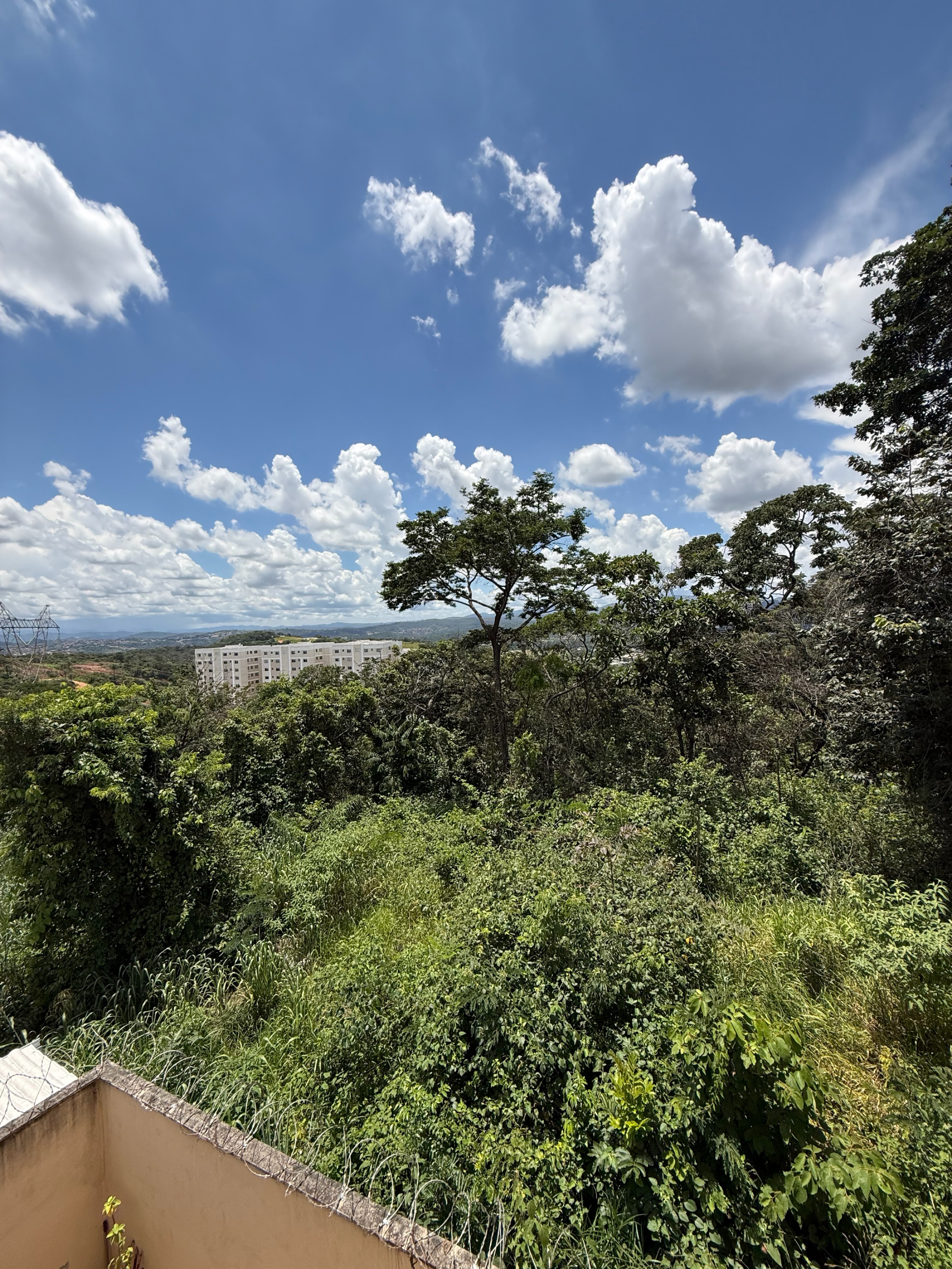 Apartamento, 2 quartos, 60 m² - Foto 7