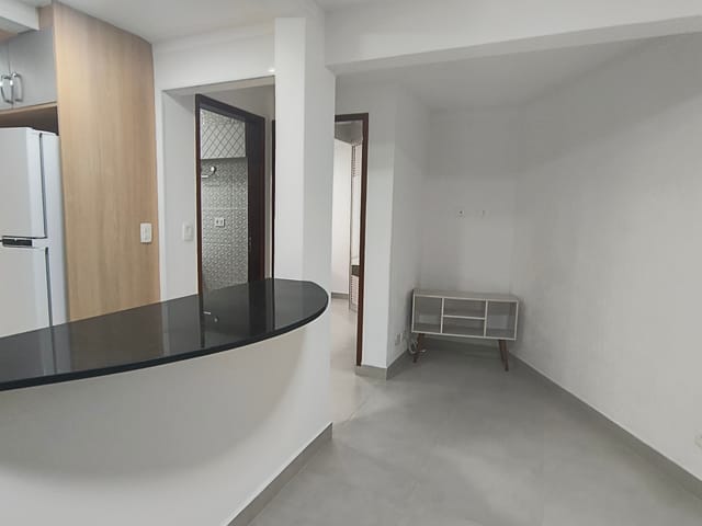 Apartamento 1 quarto e 1 banheiro, para alugar, no bairro Vila Mariana em São Paulo