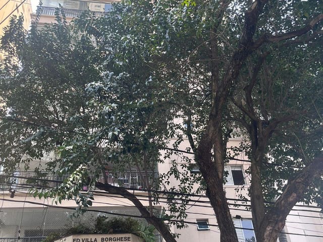 Foto do Apartamento - Apartamento à venda, Bosque da Saúde, São Paulo, SP | G2M Imóveis