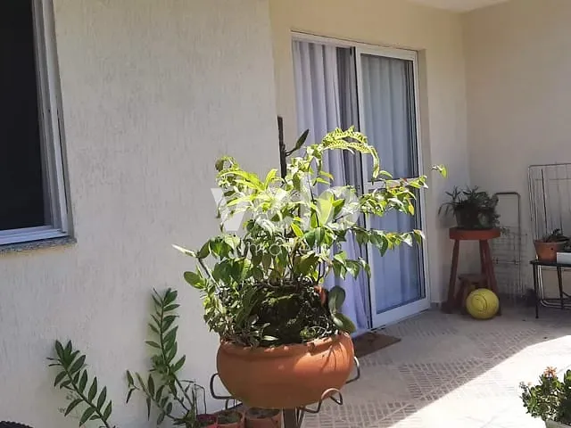 Apartamento 1 quarto e 1 banheiro, à venda, no bairro Centro em Tremembé