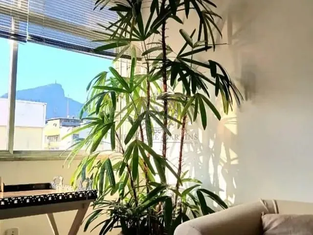 Apartamento com 84m² 3 quartos e 2 banheiros, à venda, no bairro Leblon em Rio de Janeiro