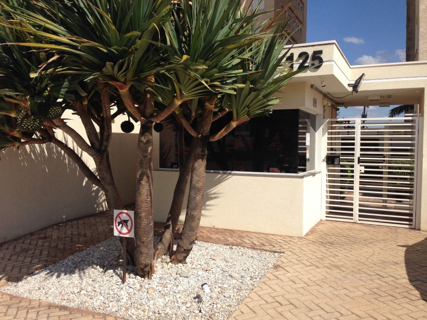 Apartamento, 2 quartos, 52 m² - Foto 19