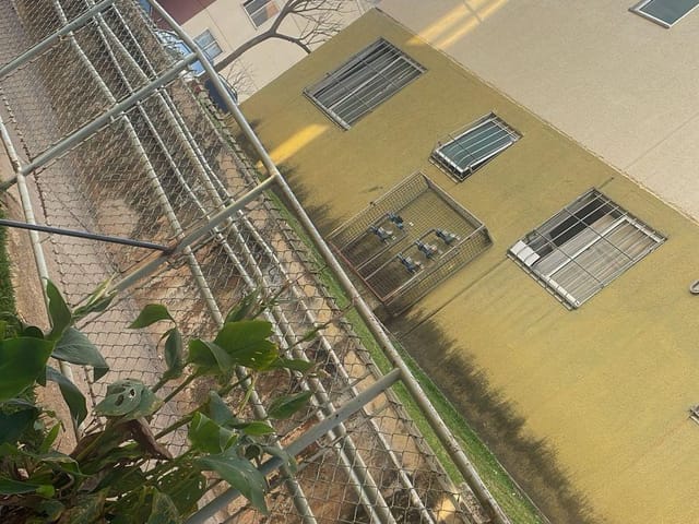 Apartamento 2 quartos e 1 banheiro, à venda, no bairro Granja de Freitas em Belo Horizonte