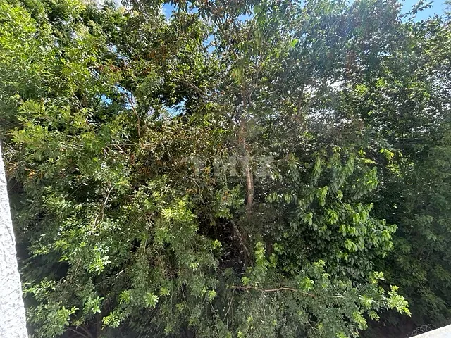 Apartamento 2 quartos e 1 banheiro, à venda, no bairro Vila Cidade Jardim em Botucatu