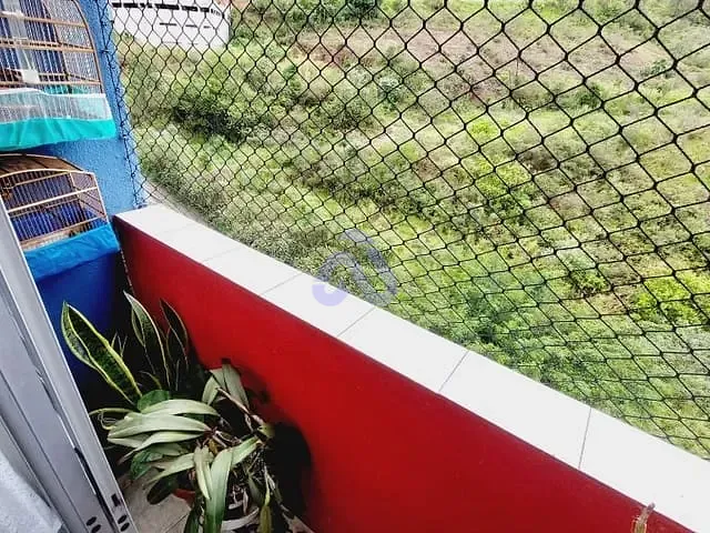 Apartamento 3 quartos e 1 banheiro, à venda, no bairro Parque Savoy em São Paulo