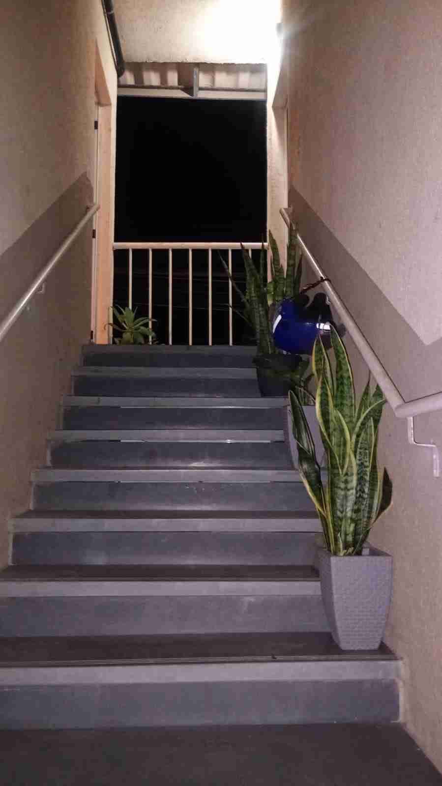 Apartamento, 2 quartos, 55 m² - Foto 12