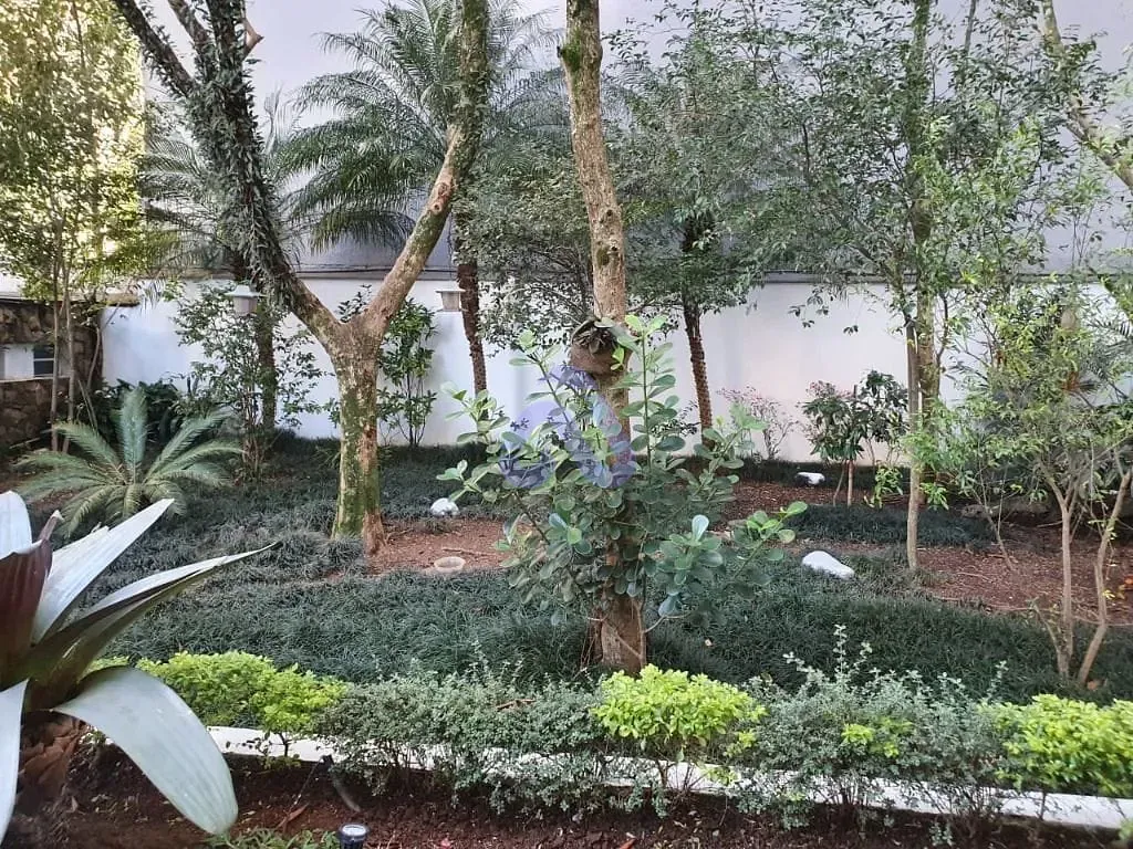 Apartamento, 4 quartos, 228 m² - Foto 59