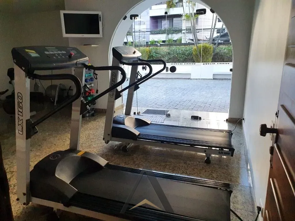 Apartamento, 4 quartos, 228 m² - Foto 49