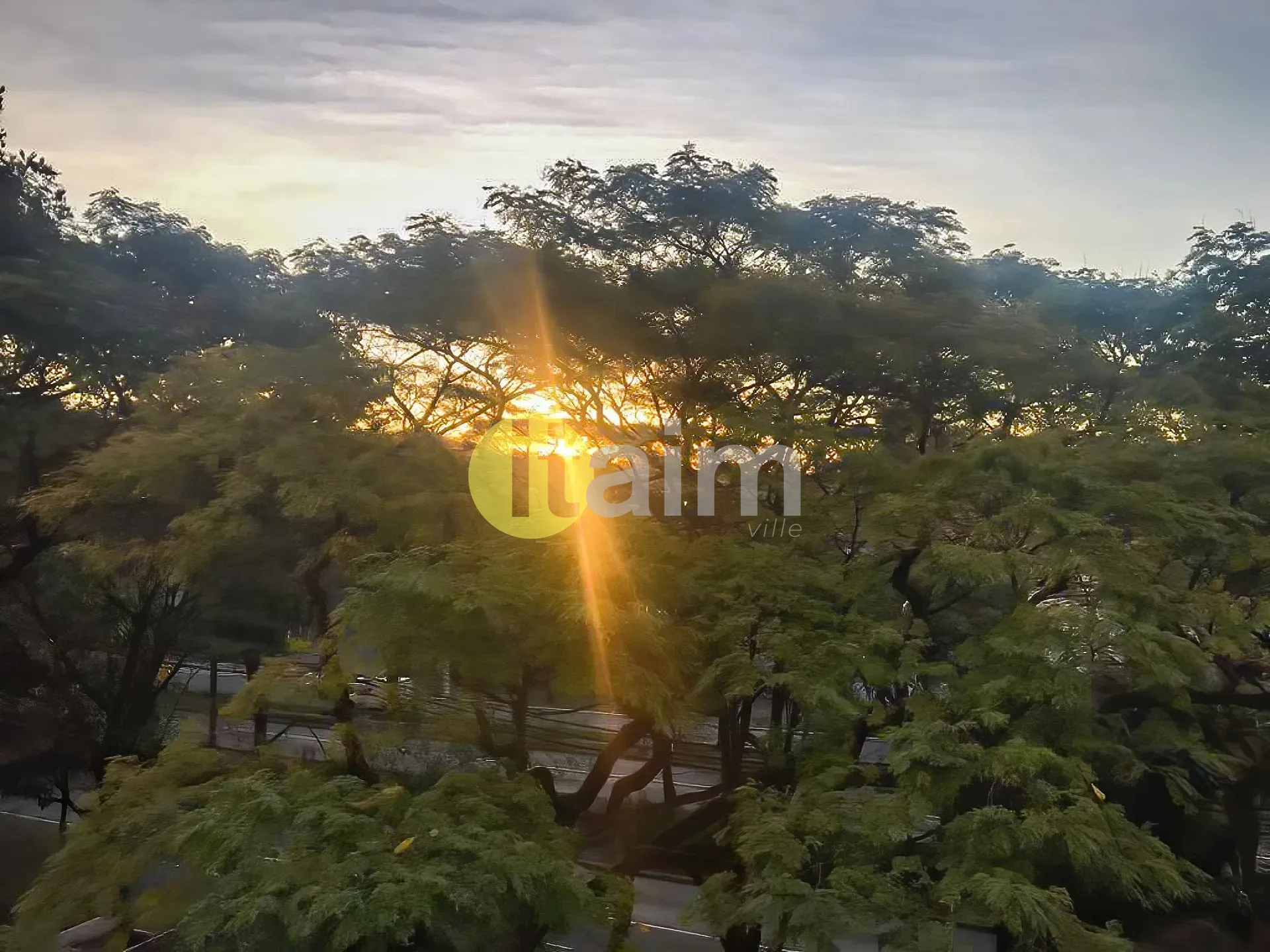 Apartamento, 3 quartos, 230 m² - Foto 48