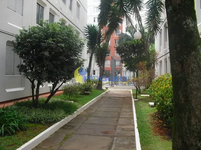 Apartamento, 3 quartos, 78 m² - Foto 6