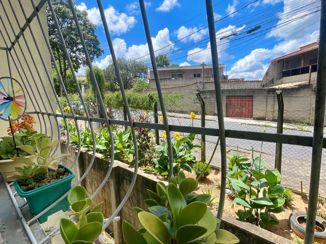 Apartamento 2 quartos e 1 banheiro, à venda, no bairro Jaqueline em Belo Horizonte