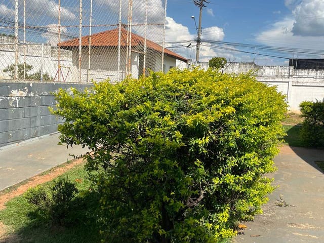 Apartamento com 54m² 2 quartos e 1 banheiro, à venda, no bairro Parque Valença I em Campinas