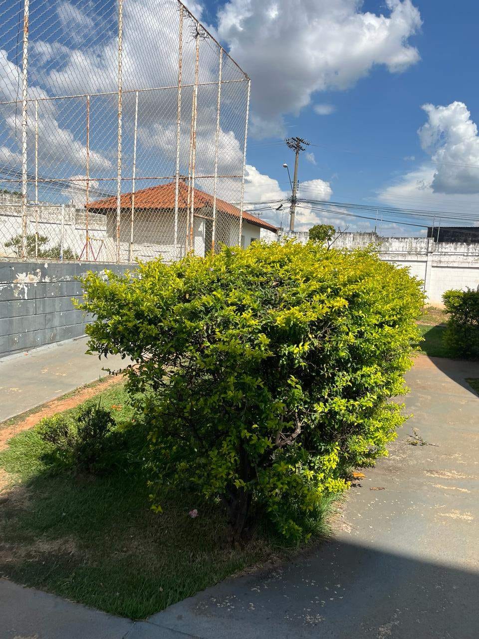 Apartamento, 2 quartos, 52 m² - Foto 3