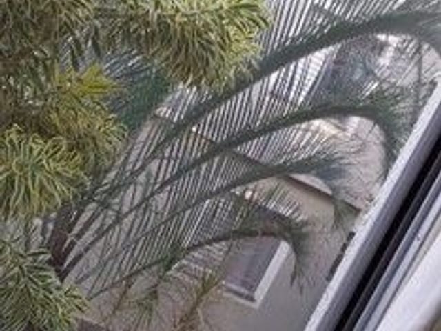 Foto do Apartamento - Apartamento à venda 2 Quartos, 1 Suite, 1 Vaga, 52M², Parque Residencial Flamboyant, São José dos Campos - SP | Spazzio Santos Dumont | RUSSI IMÓVEIS