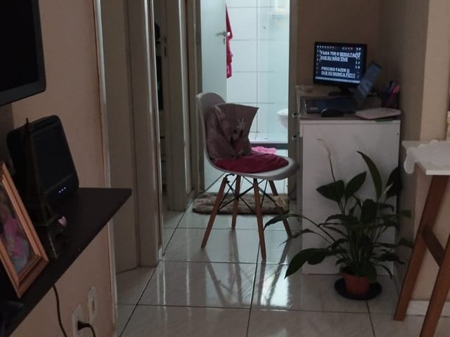 Apartamento com 46m² 2 quartos e 1 banheiro, à venda, no bairro Jardim Bassoli em Campinas