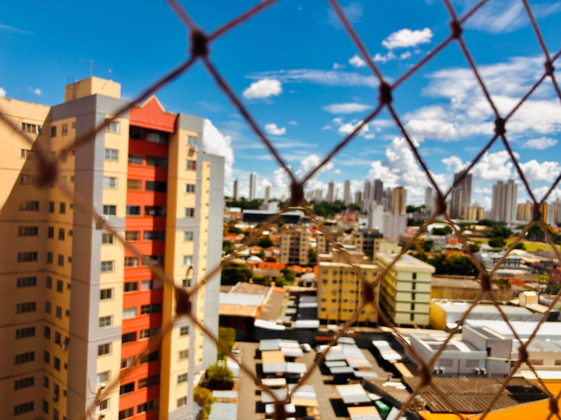 Apartamento, 3 quartos, 76 m² - Foto 6