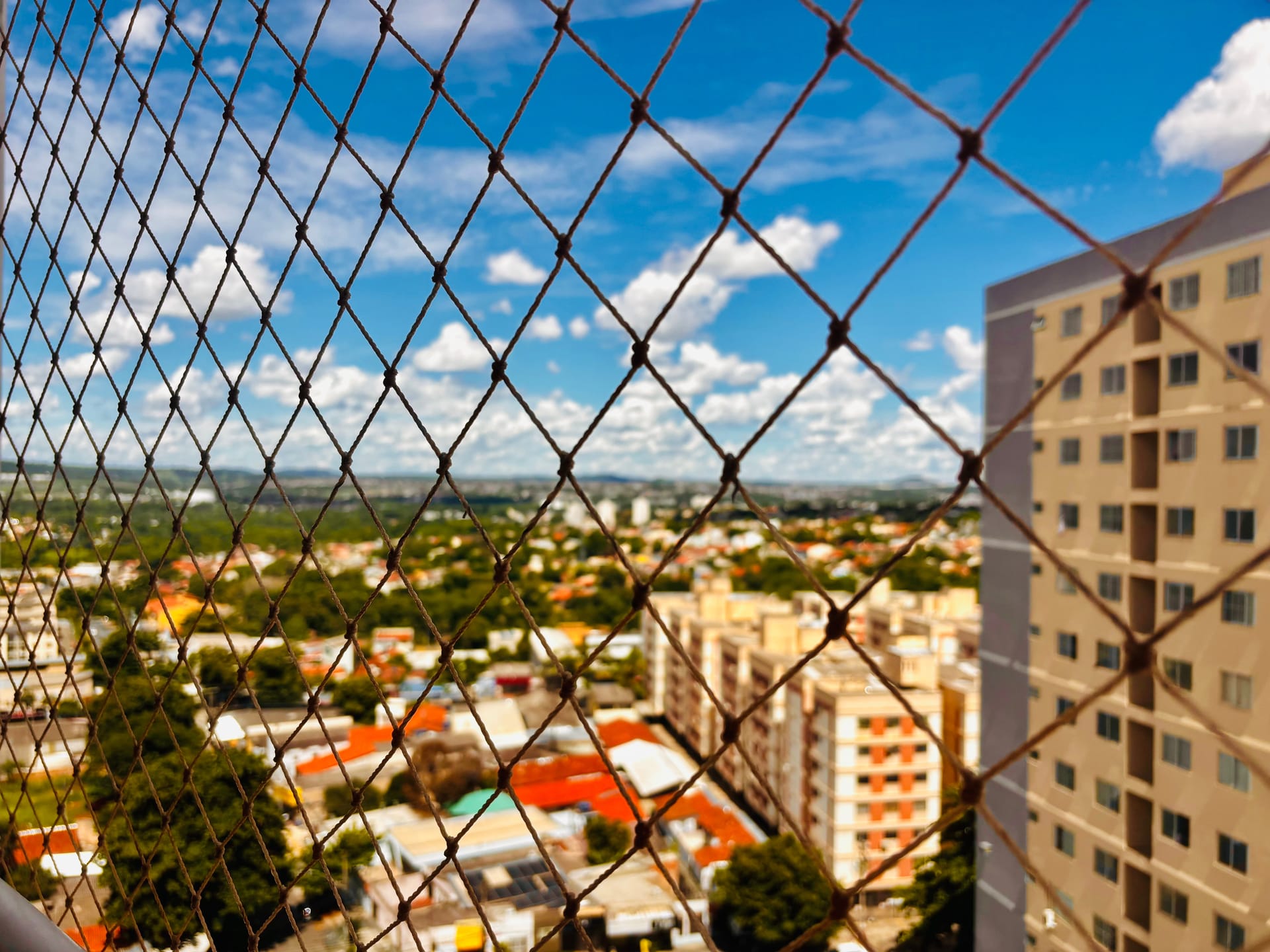 Apartamento, 3 quartos, 76 m² - Foto 7