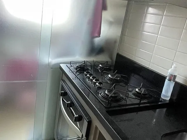 Apartamento 2 quartos e 1 banheiro, à venda, no bairro Parque Santa Rosa em Suzano