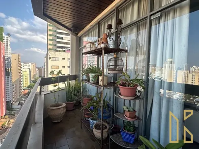 Apartamento com 315m² 4 quartos e 5 banheiros, à venda, no bairro Centro em Londrina