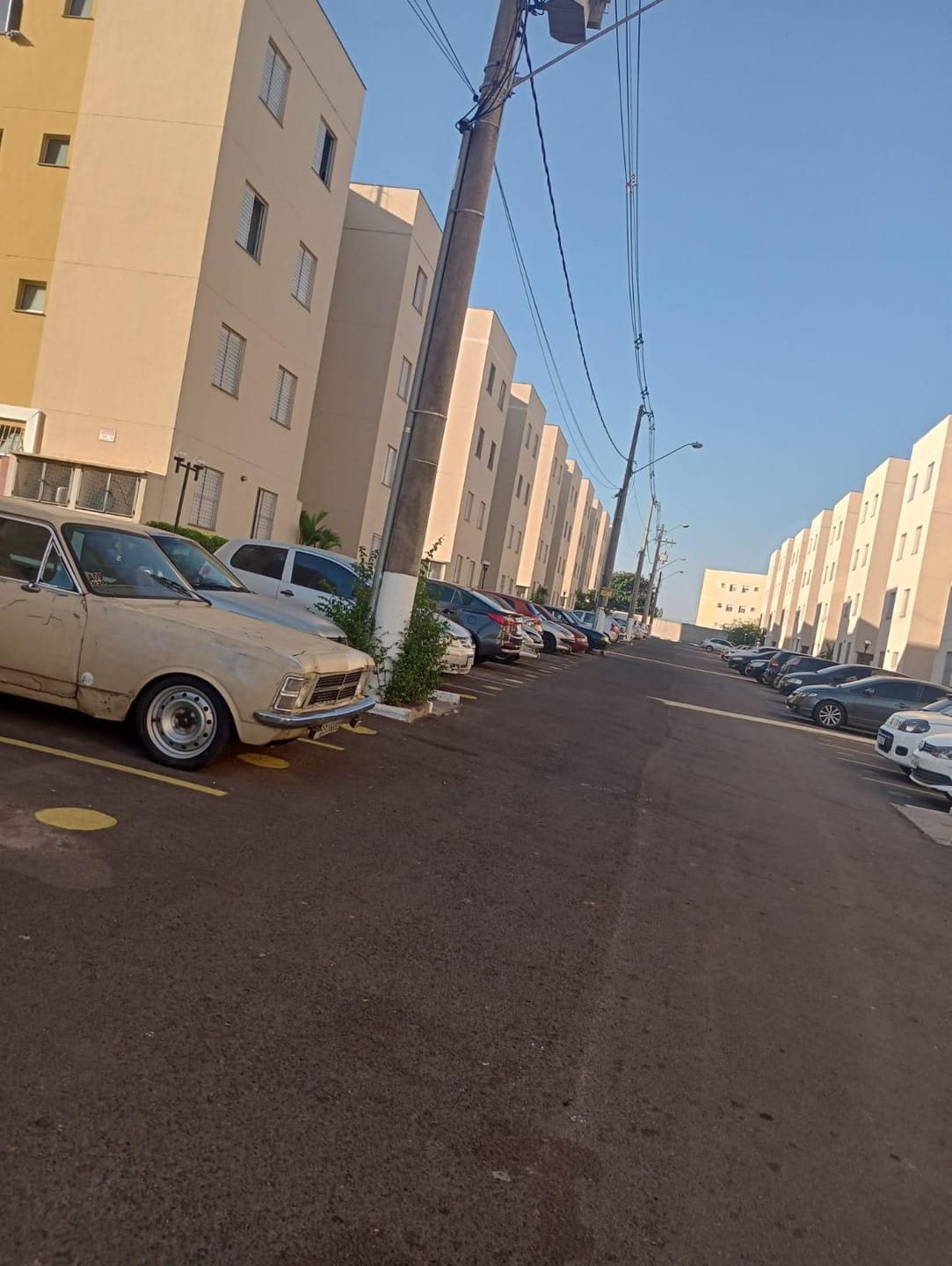 Apartamento, 2 quartos, 48 m² - Foto 2