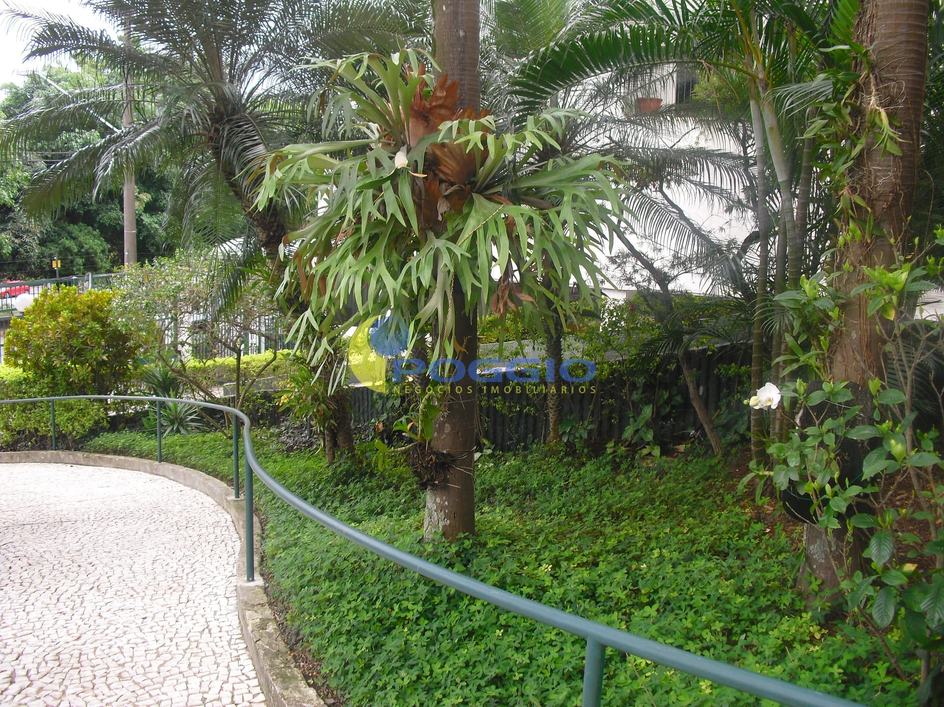 Apartamento, 2 quartos, 66 m² - Foto 7