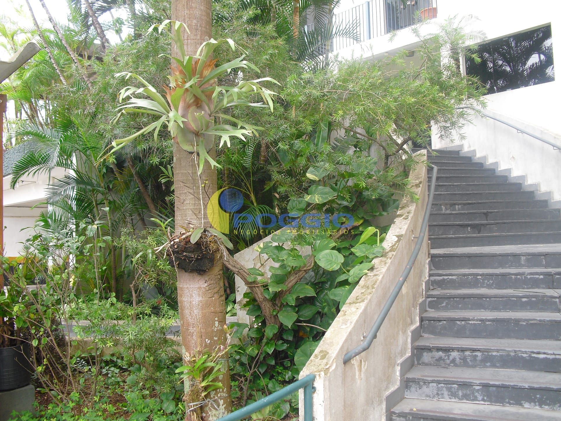 Apartamento, 2 quartos, 66 m² - Foto 9