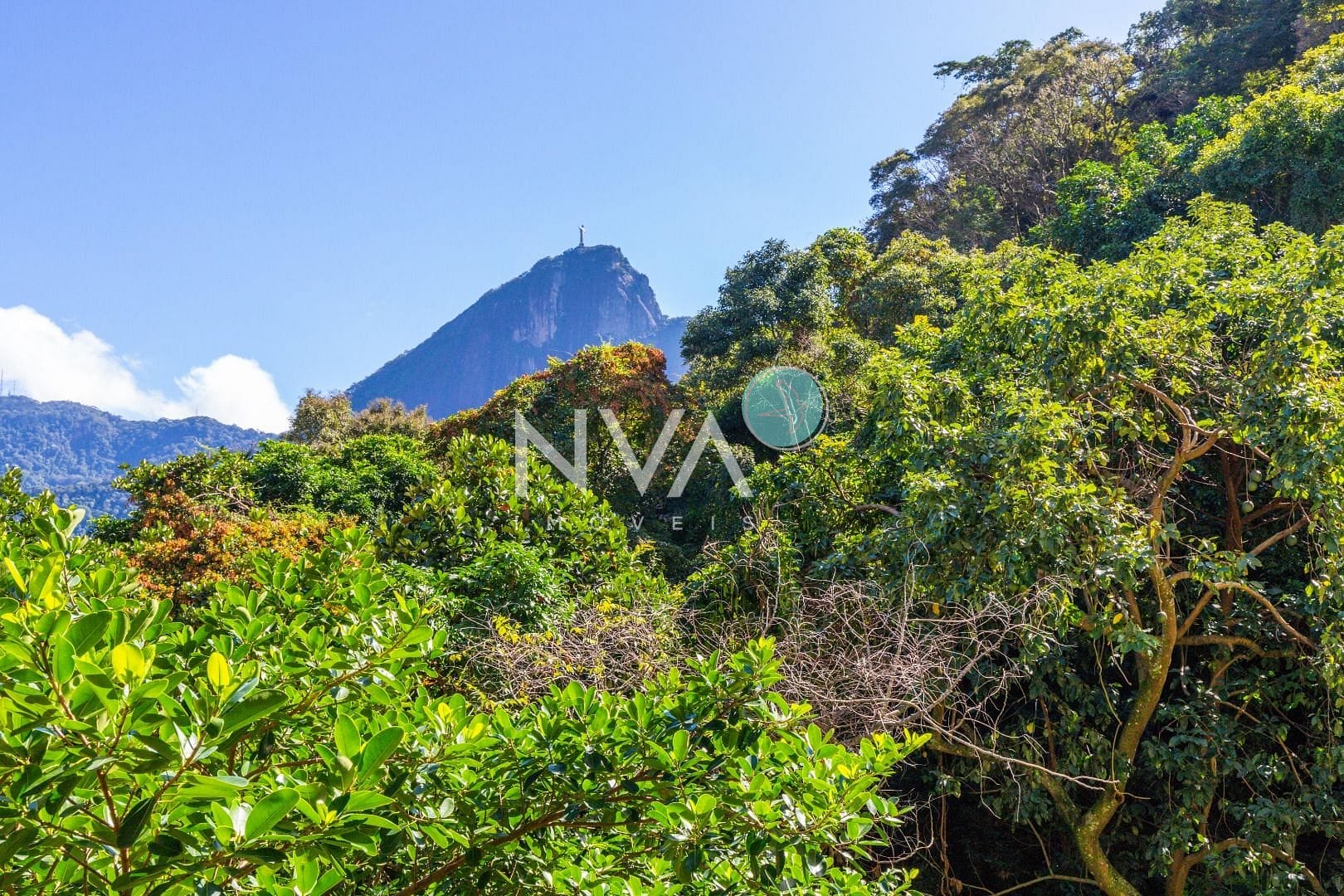 Apartamento, 4 quartos, 401 m² - Foto 45