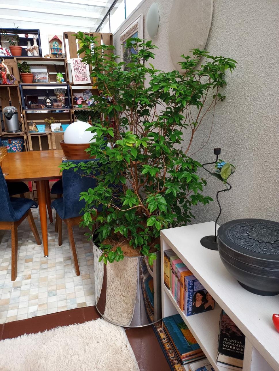 Miniatura