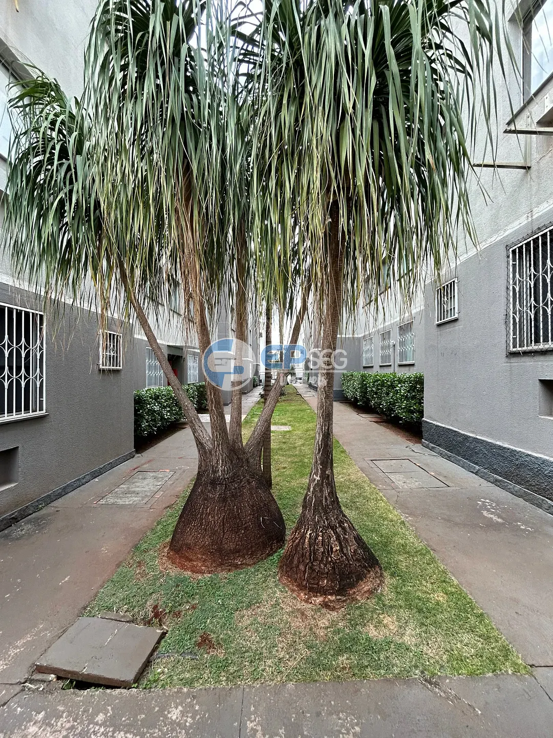 Apartamento, 2 quartos, 48 m² - Foto 34