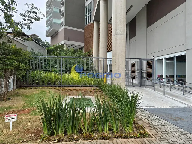 Apartamento 2 quartos e 1 banheiro, para alugar, no bairro Butantã em São Paulo
