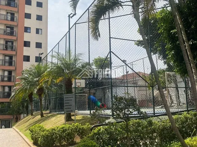 Apartamento com 73m² 3 quartos e 1 banheiro, para alugar, no bairro Vila Carbone em São Paulo