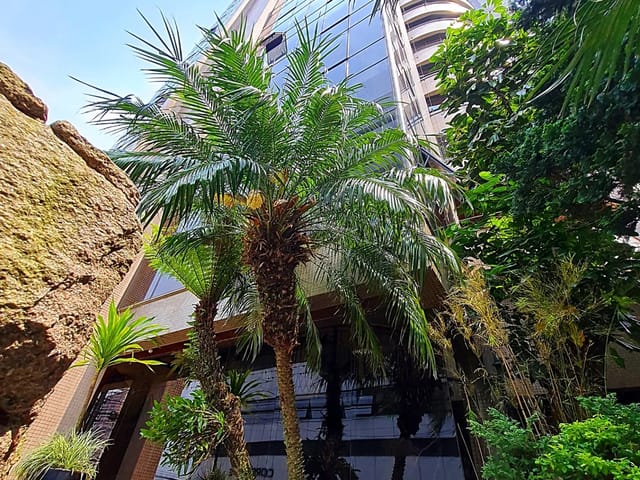Apartamento com 243m² 3 quartos e 5 banheiros, à venda, no bairro Estrela em Ponta Grossa