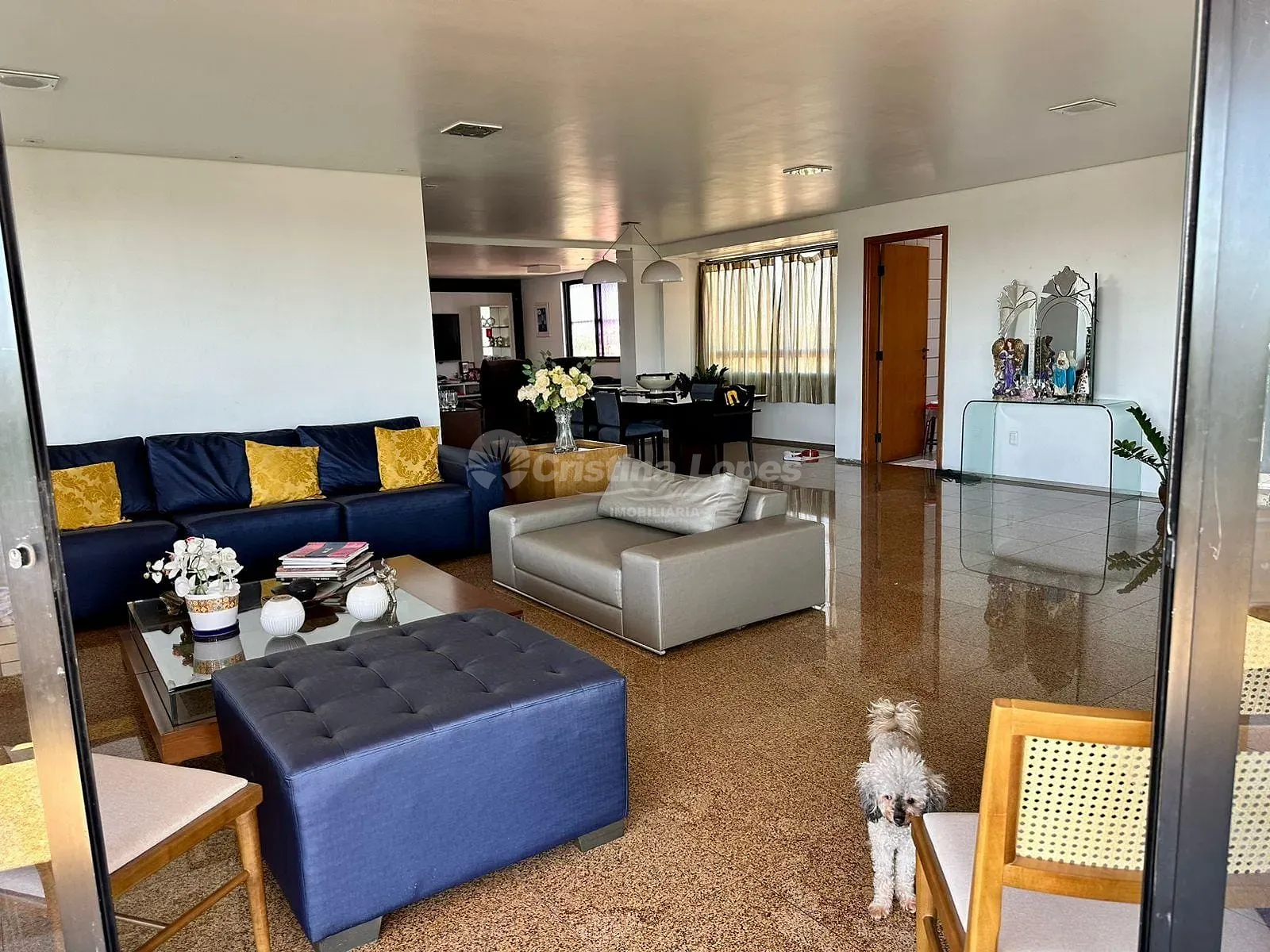 Apartamento, 4 quartos, 275 m² - Foto 1