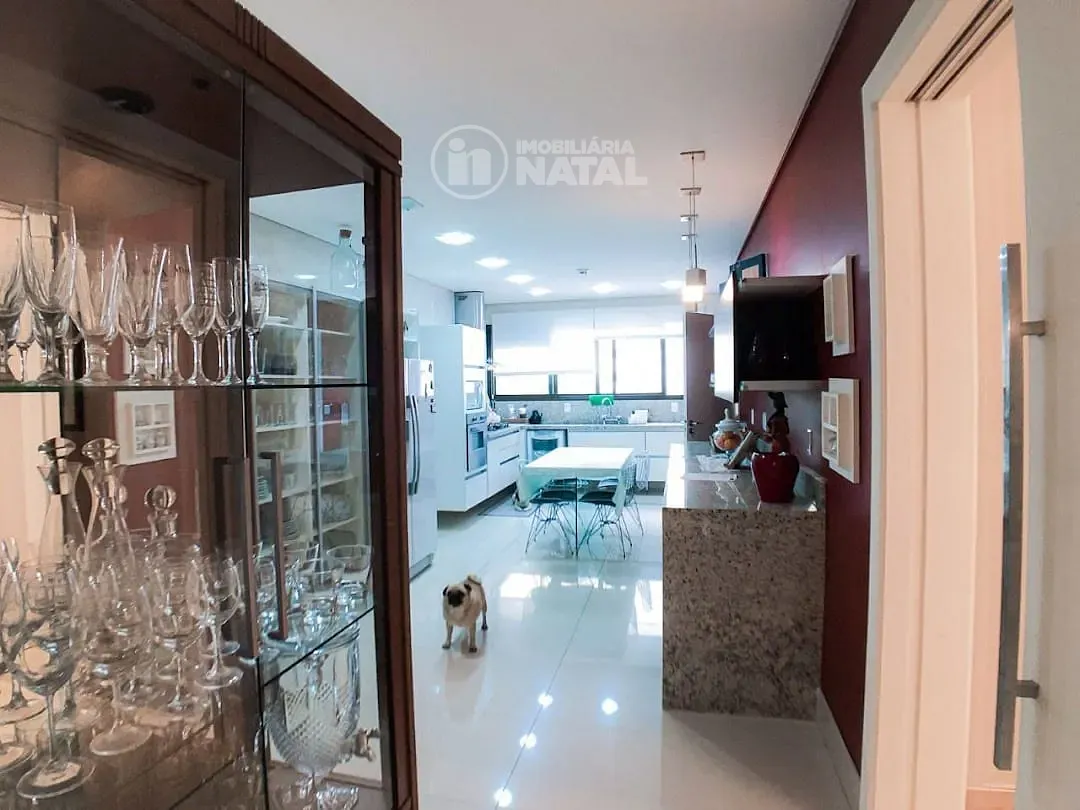 Apartamento, 4 quartos, 445 m² - Foto 19