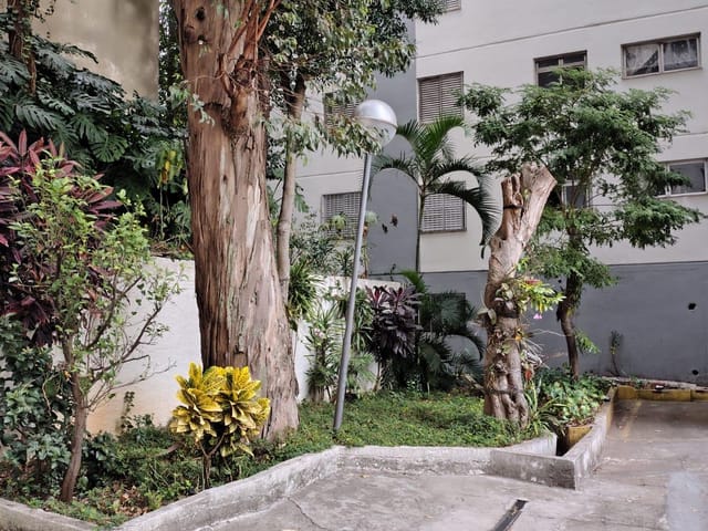 Apartamento com 72m² 3 quartos e 2 banheiros, à venda, no bairro Vila Monumento em São Paulo