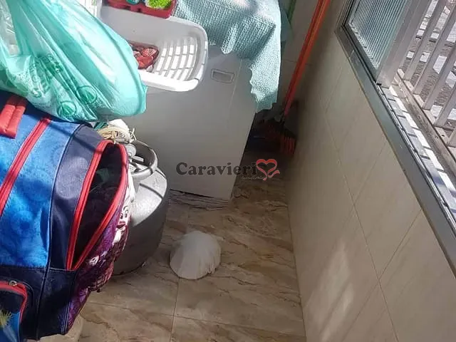 Apartamento 2 quartos e 1 banheiro, à venda, no bairro Jardim Piratininga em São Paulo