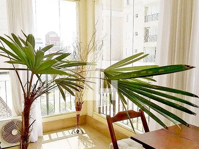 Apartamento com 83m² 2 quartos e 2 banheiros, à venda, no bairro Jardim Zaira em Guarulhos