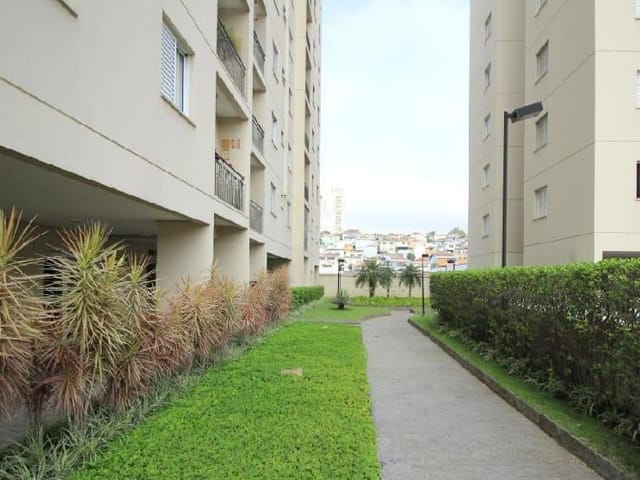 Apartamento 2 quartos e 1 banheiro, à venda, no bairro Jardim Previdência em São Paulo