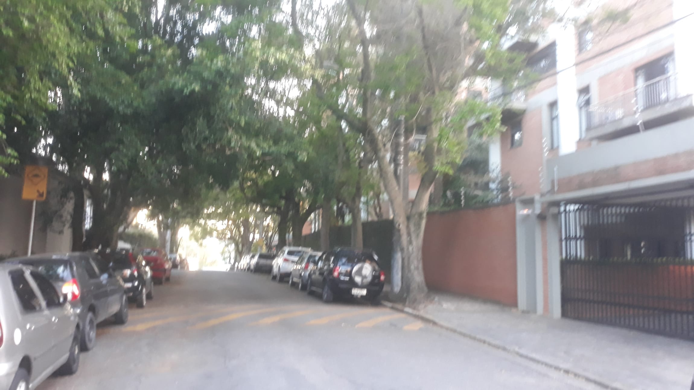 Apartamento à venda com 3 quartos, 235m² - Foto 12