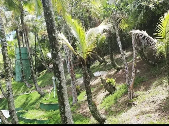 Apartamento com 90m² 3 quartos e 1 banheiro, à venda, no bairro Praia das Toninhas em Ubatuba