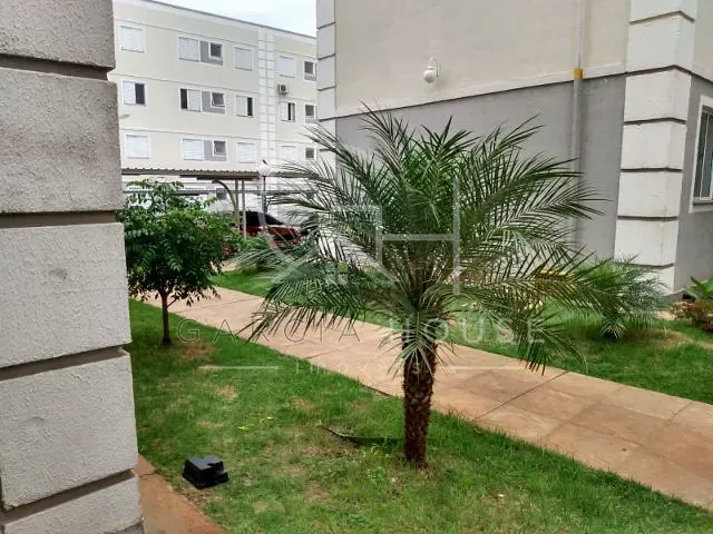 Apartamento 2 quartos e 1 banheiro, à venda, no bairro Conjunto Habitacional Sílvio Passalacqua em Ribeirão Preto