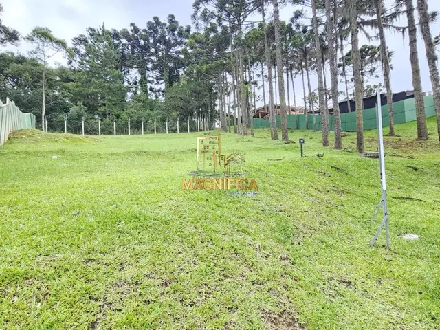 Terreno 1 quarto e 2 banheiros, à venda, no bairro Augusta em Curitiba