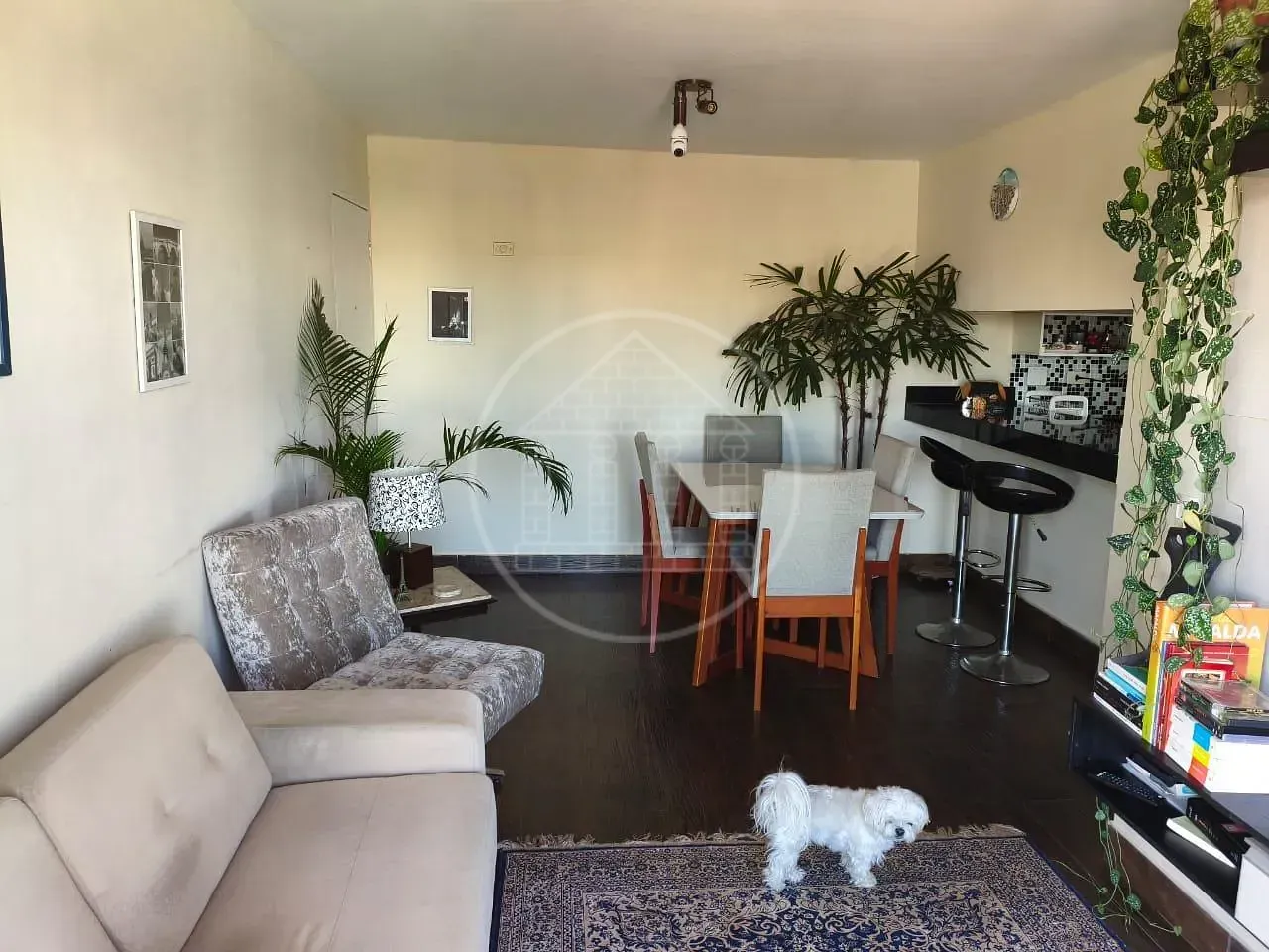 Apartamento, 2 quartos, 57 m² - Foto 33